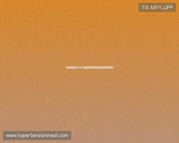 乐竟体育官网：2026世界杯足球明星阵容盘点与球员表现精彩点评